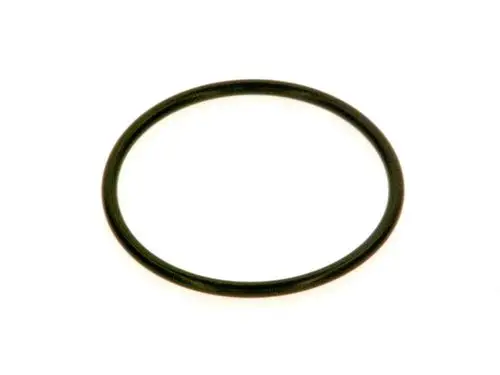 Schwarzer O-Ring von Bosch, kreisförmig und flexibel, auf hellem Hintergrund dargestellt.